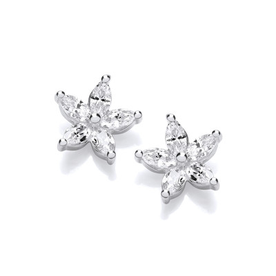 Silver & Cubic Zirconia Brightest Star Earrings